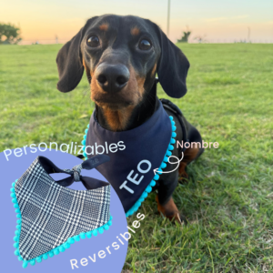 Pawñuelos Cuadros/Azul - Personalizables y Reversibles con Nombre