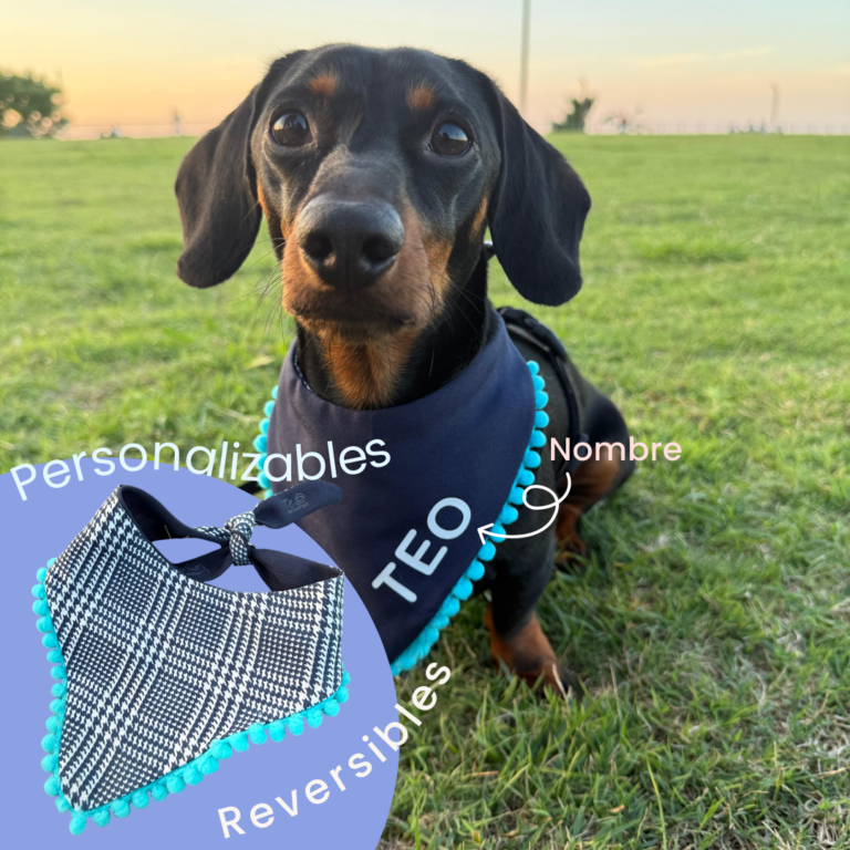 Pawñuelos Cuadros/Azul - Personalizables y Reversibles con Nombre