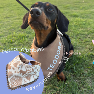 Pawñuelos Bosque/Café - Personalizables y Reversibles con Nombre