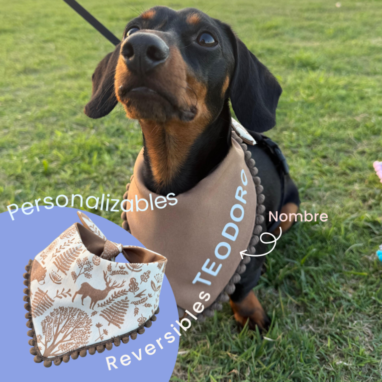 Pawñuelos Bosque/Café - Personalizables y Reversibles con Nombre